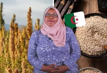 حليمة خالد