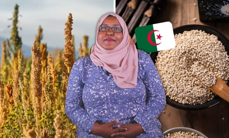 قصة نجاح حليمة خالد : كيف قامت بزراعة الكينوا في وادي ريغ القاحل؟ (فيديو) 1 حليمة خالد